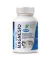 QUELATO DE MAGNESIO 100comp.