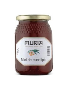 MIEL DE EUCALIPTO 500gr.