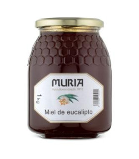 MIEL DE EUCALIPTO 1kg.