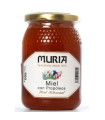 MIEL DE MIL FLORES con propolis 500gr.