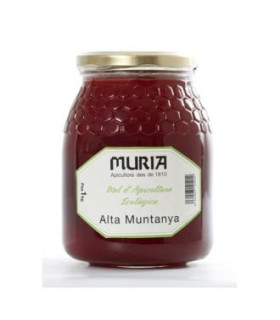 MIEL DE ALTA MONTAÑA 1kg. BIO