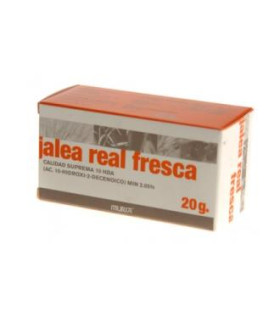 JALEA REAL fresca 20gr.