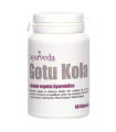 GOTUKOLA - 60 CAPSULAS