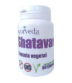 SHATAVARI - 60 CAPSULAS
