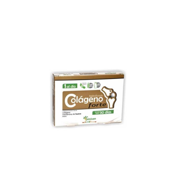 COLAGENO FORTE 30cap. ARTILINE