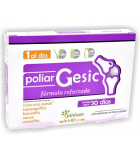 POLIAR GESIC ARTILINE 30cap.