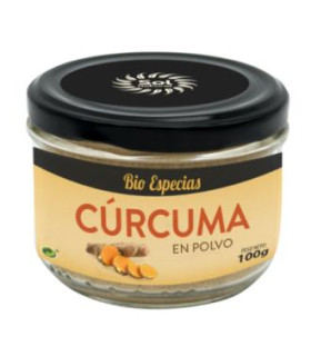 CURCUMA en polvo 100gr. BIO