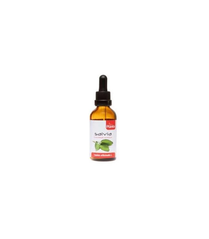 EXT.SALVIA 50ml MAESE HERBARIO