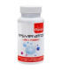 RESVERATROL PLANTIS 60cap.