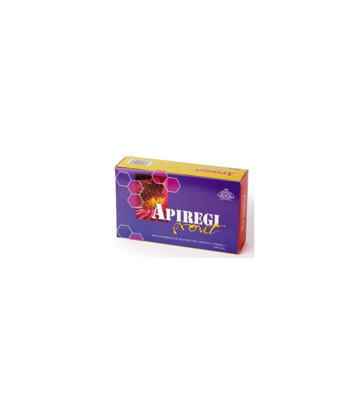 APIREGI PROVIT 20amp.
