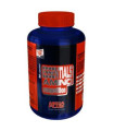 ESSENTIALS AMINOS competition 90cap.