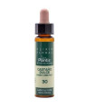 SWEET CHESTNUT PLANTIS flores de bach Nº 30 10ml.