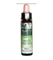 REMEDIO PLANTIS Nº 1 APATIA-TRISTEZA 10ml. ECO