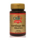CARTILAGO DE TIBURON 500mg. 60cap.