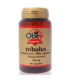 TRIBULUS 500mg. 90cap.