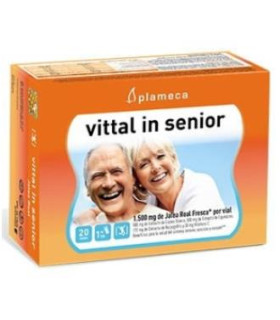 VITAL IN SENIOR jalea real 20amp