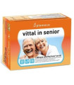VITAL IN SENIOR jalea real 20amp