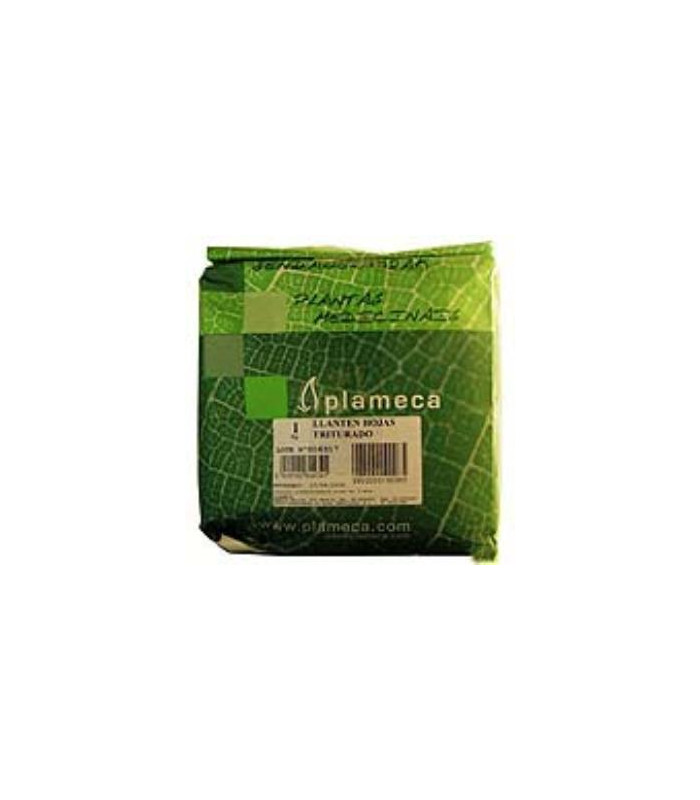 HIERBA LLANTEN HOJA TRITURADA 1KG