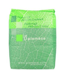 TE VERDE 1KG