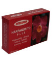 HARPAGOFITO PLUS 60cap.