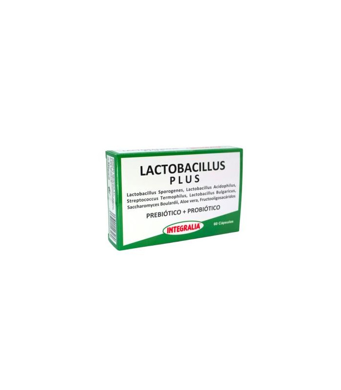 LACTOBACILLUS plus 60cap.