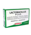 LACTOBACILLUS plus 60cap.