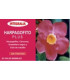 HARPAGOPHYTUM plus 20viales