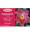 HARPAGOPHYTUM plus 20viales