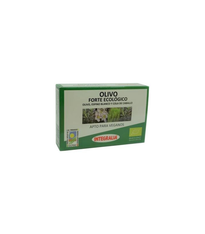 OLIVO forte ECO 60cap.