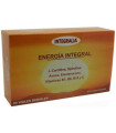 ENERGIA INTEGRAL 20viales