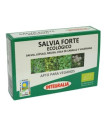 SALVIA forte ECO 60caps.