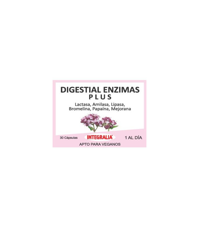 DIGESTIAL ENZIMAS PLUS 30cap.