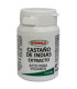 CASTAÑO DE INDIAS extracto 60vcaps.