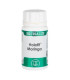 HOLOFIT MORINGA 50cap.