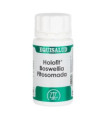 HOLOFIT BOSWELLIA FITOSOMADA 50cap.