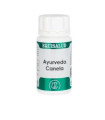 HOLOFIT AYURVEDA canela 50cap.