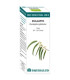 BIO ESSENTIAL OILS eucalipto aceite esencial 10ml.