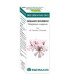BIO ESSENTIAL OILS geranio b. ac. esencial 10ml.