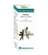 BIO ESSENTIAL OILS niaouli aceite esencial 10ml.