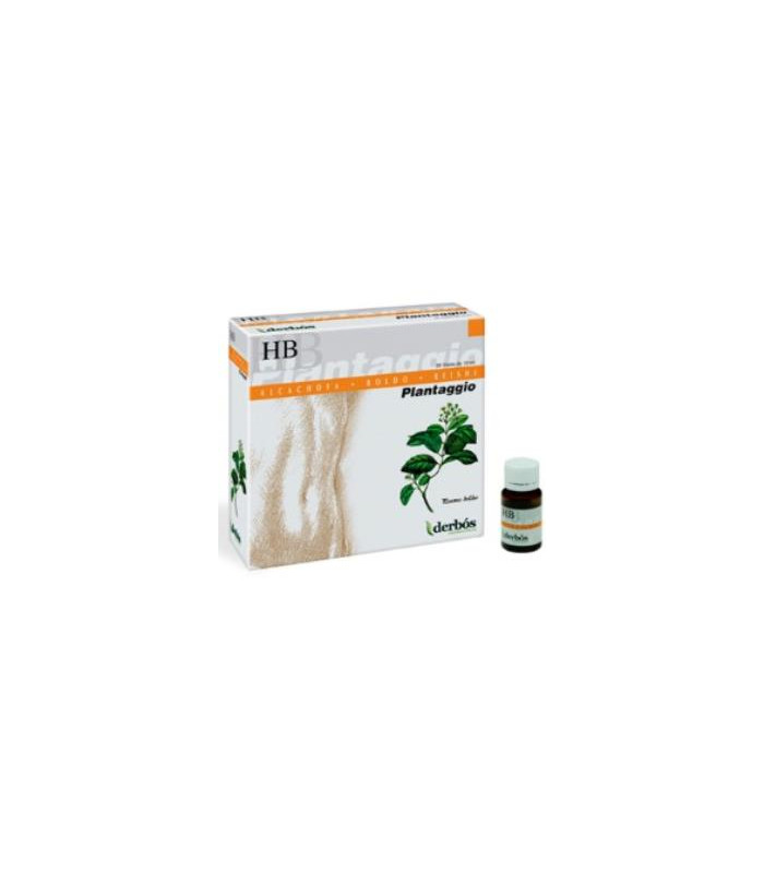 PLANTAGGIO HB 20amp.