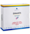 DINASES 15cap.
