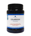 COLAGENIUM 600gr.