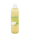 KEFIR DE AGUA sabor menta limon jengibre 500m BIO