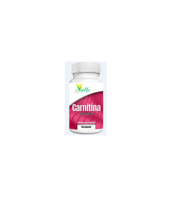 L-CARNITINA 100cap.