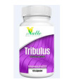 TRIBUCAPS (TRIBULUS) 120cap.