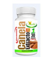 CANELA 30cap.