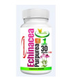 ECHINACEA 30cap.