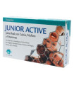 JALEA REAL JUNIOR ACTIVE 20amp.