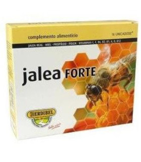 JALEA FORTE 16unicadose