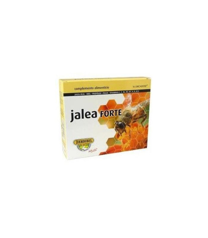 JALEA FORTE 16unicadose